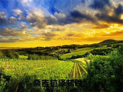 桑吉拉泽林晚玥(林晚玥桑吉拉泽)全文免费阅读_(林晚玥桑吉拉泽)最新章节小说免费阅读(桑吉拉泽林晚玥)