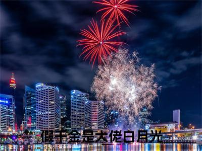 陆瓷霍然（假千金是大佬白月光）独家首发免费小说-（陆瓷霍然）假千金是大佬白月光小说全文在线阅读笔趣阁