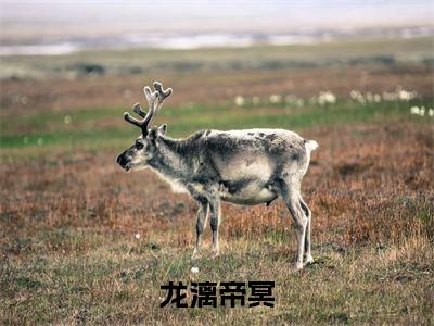 龙漓帝冥(帝冥龙漓小说)全文免费阅读无弹窗大结局_(帝冥龙漓)小说最新章节列表