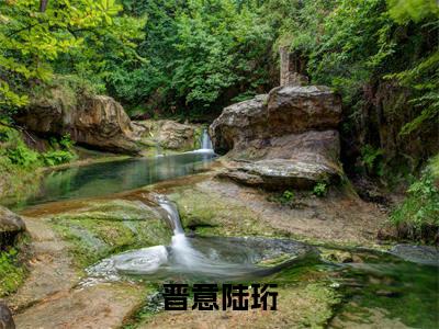 晋意陆珩(陆珩晋意)全文免费阅读无弹窗大结局-晋意陆珩最新章节列表免费阅读