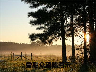 雪融众望陈绾禾(晏毅清陈绾禾精彩美文)免费阅读-小说晏毅清陈绾禾最后结局如何