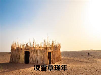凌雪章瑾年全文免费阅读无弹窗大结局_(凌雪章瑾年)凌雪章瑾年完整版全文在线赏析