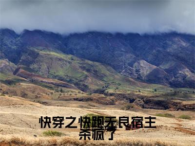 快穿之快跑无良宿主杀疯了(齐远)全文免费阅读无弹窗大结局_(快穿之快跑无良宿主杀疯了)齐远全文免费完结版阅读