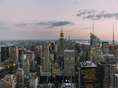 左嫣顾承安免费完结小说-顾承安左嫣（左嫣顾承安）在线阅读全文（左嫣顾承安）