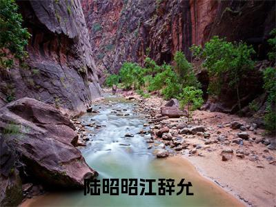 陆昭昭江辞允小说(江辞允陆昭昭)全文免费阅读无弹窗大结局_陆昭昭江辞允小说免费阅读最新章节列表笔趣阁(江辞允陆昭昭)