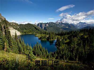 灵瑶璟华美文欣赏完整版,璟华灵瑶精彩章节在线阅读