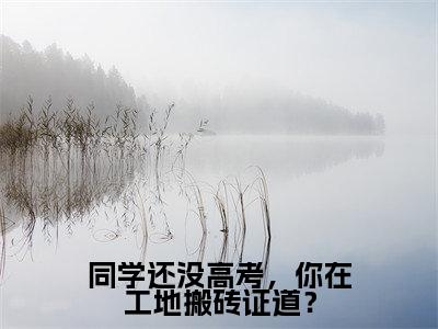 同学还没高考,你在工地搬砖证道?(顾辞)精彩小说-小说顾辞全文无删减版免费阅读