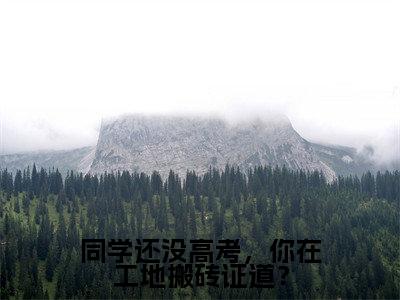 顾辞的小说免费阅读(同学还没高考,你在工地搬砖证道?的小说免费阅读)全文完整版免费阅读