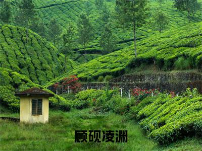 顾砚凌渊(凌渊顾砚)最火婚恋小说-(凌渊顾砚)全文免费阅读笔趣阁