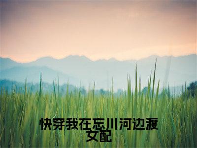 (快穿我在忘川河边渡女配)全文免费阅读无弹窗大结局-百岁全文阅读无弹窗
