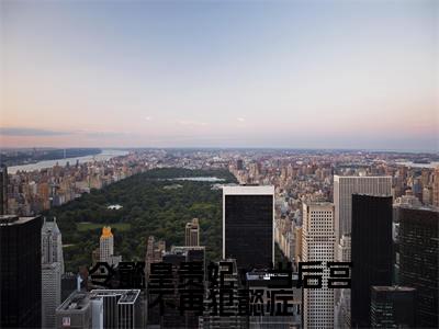 魏嬿婉人气小说令懿皇贵妃:当后宫不再犯懿症创在线阅读-正版小说《令懿皇贵妃:当后宫不再犯懿症》魏嬿婉全文阅读