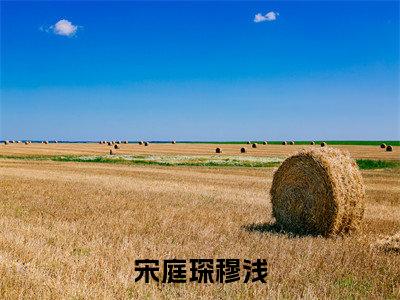 宋庭琛穆浅在线阅读(宋庭琛穆浅)全文免费阅读无弹窗大结局_宋庭琛穆浅最新章节列表笔趣阁(宋庭琛穆浅)