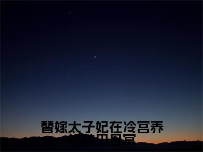 替嫁太子妃在冷宫养娃种田日常小说全文(苏安宁)精选免费小说_替嫁太子妃在冷宫养娃种田日常小说全文最新章节列表