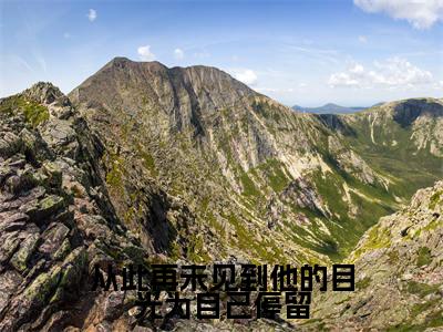 傅容霍沉钊小说(从此再未见到他的目光为自己停留)全文免费读无弹窗大结局_傅容霍沉钊小说免费阅读-笔趣阁(从此再未见到他的目光为自己停留)
