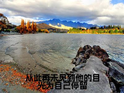 从此再未见到他的目光为自己停留(傅容霍沉钊)小说最新章节阅读-全网最新首发小说从此再未见到他的目光为自己停留(傅容霍沉钊)免费阅读全章节