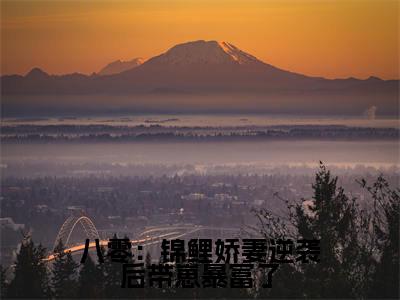 八零:锦鲤娇妻逆袭后带崽暴富了最新章节(宋暖暖)全文免费阅读无弹窗大结局_宋暖暖免费阅读