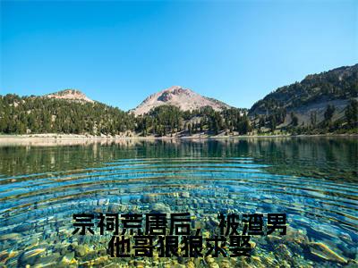 宗祠荒唐后,被渣男他哥狠狠求娶(苏楚熹谢长宴)小说免费阅读无弹窗大结局_(苏楚熹谢长宴阅读无弹窗)最新章节列表