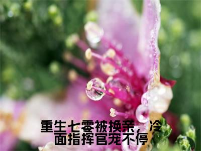 重生七零被换亲,冷面指挥官宠不停无广告小说免费阅读,重生七零被换亲,冷面指挥官宠不停苏阮阮秦慕北完结小说在线阅读