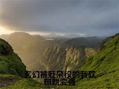 林沐免费阅读(玄幻被贬杂役的我砍树就变强)全文免费阅读无弹窗大结局_林沐免费阅读最新章节列表