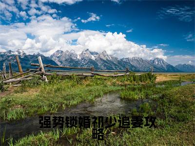 主人公叫（祁知聿苏婉卿）的小说（强势锁婚祁少追妻攻略）免费阅读最新章节列表_笔趣阁