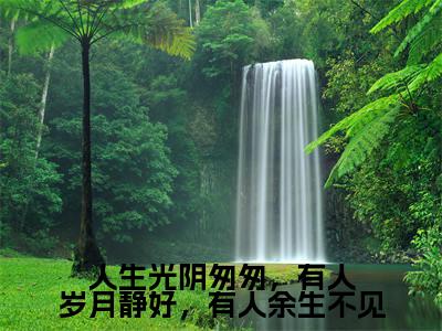 人生光阴匆匆,有人岁月静好,有人余生不见聂佳欣程亦峥抖音热推新书小说全文阅读(聂佳欣程亦峥)全文免费阅读大结局