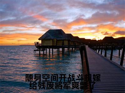 夜鸩江翎音小说（随身空间开战斗机嫁给残废将军爽翻了）全文免费阅读无弹窗大结局_夜鸩江翎音小说最新章节列表