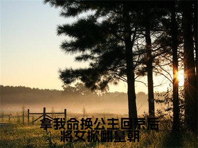 拿我命换公主回京后将女掀翻皇朝(主角是谢知晏云锦全文免费阅读无弹窗)_拿我命换公主回京后将女掀翻皇朝全文免费阅读无弹窗大结局