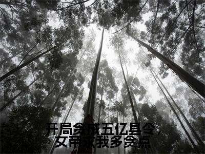 开局贪成五亿县令,女帝求我多贪点(夏云)全文免费阅读无弹窗大结局_(夏云)开局贪成五亿县令,女帝求我多贪点最新章节列表