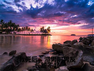 我死后,渣男前男友长跪不起全文免费阅读无弹窗大结局-馨满最新章节列表_笔趣阁(我死后,渣男前男友长跪不起)