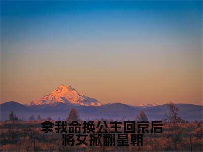 小说拿我命换公主回京后将女掀翻皇朝(谢知晏云锦)免费阅读-小说拿我命换公主回京后将女掀翻皇朝全文在线赏析