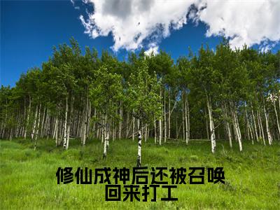 修仙成神后还被召唤回来打工(苏桃)笔趣阁免费小说_修仙成神后还被召唤回来打工笔趣阁全文阅读