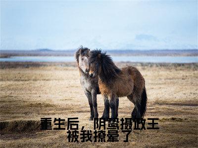 【新书】《重生后,阴鸷摄政王被我撩晕了》全文免费阅读最新章节大结局-萧瑾熠姜云曦全文全章节免费阅读