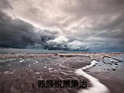苏颜悦萧秉治小说(萧秉治苏颜悦)全文免费阅读无弹窗大结局_(萧秉治苏颜悦)最新章节列表(萧秉治苏颜悦)
