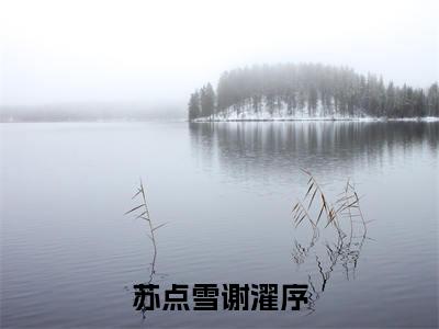 苏点雪谢濯序（苏点雪谢濯序）精选好书-苏点雪谢濯序无删减版在线阅读（苏点雪谢濯序全文免费阅读）