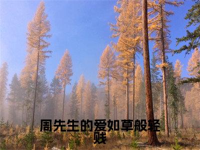 周先生的爱如草般轻贱(周衍生许思思)在线阅读-周先生的爱如草般轻贱小说周衍生许思思完整版免费阅读