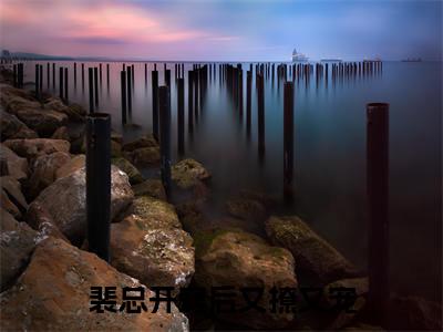 裴总开窍后又撩又宠全文免费阅读大结局_裴总开窍后又撩又宠(裴宴州姜乔)最新章节列表