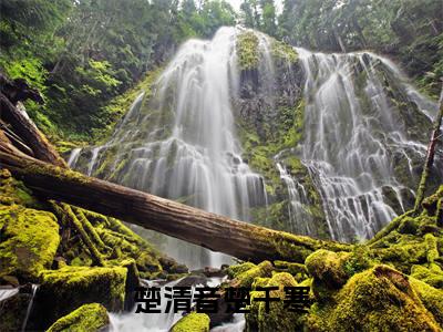 楚清音楚千寒(楚千寒楚清音最新章节)在线阅读-免费小说楚清音楚千寒全文阅读
