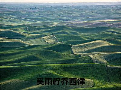 奚雨柠乔西律(奚雨柠乔西律)全文免费阅读无弹窗大结局_奚雨柠乔西律最新章节列表-笔趣阁奚雨柠乔西律