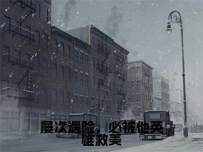 屡次遇险，必被他英雄救美（商皓文云小黎）全文免费阅读无弹窗大结局_屡次遇险，必被他英雄救美最新章节列表-笔趣阁商皓文云小黎