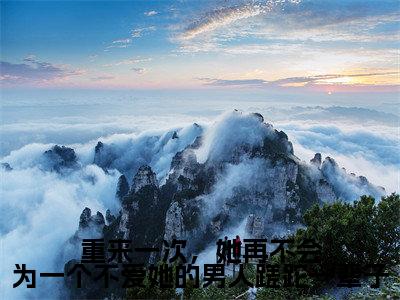 重来一次,她再不会为一个不爱她的男人蹉跎一辈子小说全文免费阅读_(温晴陆镜年)重来一次,她再不会为一个不爱她的男人蹉跎一辈子完结版在线阅读最新章节列表笔趣阁
