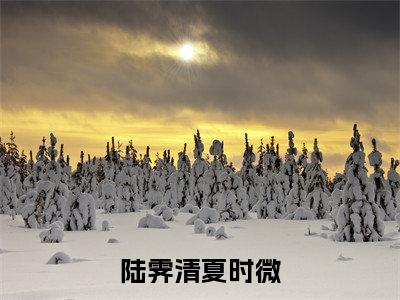 陆霁清夏时微（陆霁清夏时微）全文免费阅读无弹窗大结局_陆霁清夏时微（陆霁清夏时微）最新章节列表