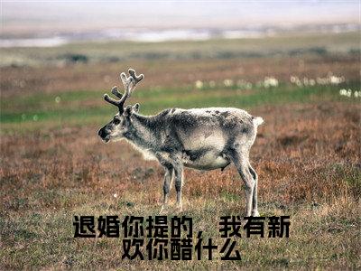 洛烟言玖(退婚你提的,我有新欢你醋什么)全文免费阅读无弹窗大结局_(退婚你提的,我有新欢你醋什么无弹窗)全文完整版免费阅读