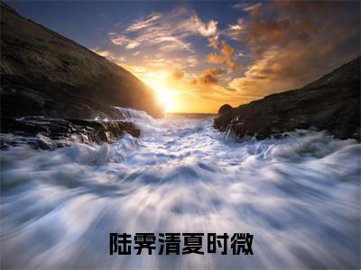 陆霁清夏时微（陆霁清夏时微）全文免费阅读-（陆霁清夏时微）陆霁清夏时微最新章节小说阅读-笔趣阁