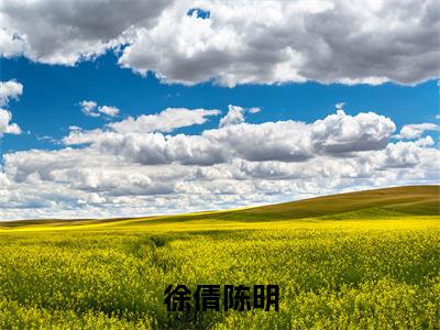 徐倩陈明(徐倩陈明)全文免费阅读无弹窗大结局_(徐倩陈明)全文最新章节列表