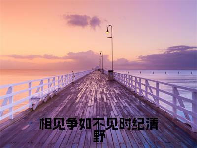 小说（相见争如不见时纪清野）_纪攸宁纪清野全文阅读_相见争如不见时纪清野免费阅读大结局（免费+后续）