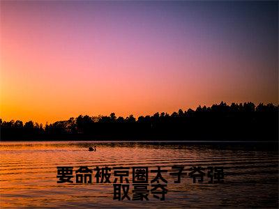 魏枝眠周京宴免费(要命被京圈太子爷强取豪夺)全文免费阅读无弹窗大结局_要命被京圈太子爷强取豪夺免费最新章节列表_笔趣阁