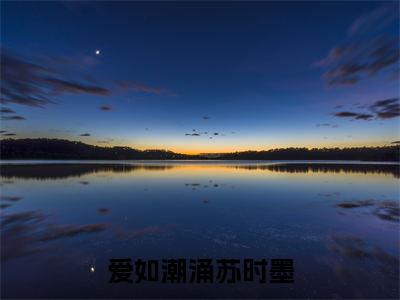 (爱如潮涌苏时墨)全网热搜是什么小说_爱如潮涌苏时墨小说(苏时墨)热门章节阅读无弹窗_笔趣阁(苏时墨)