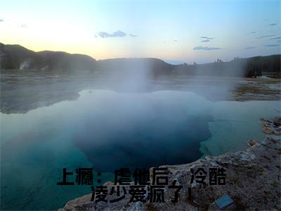 上瘾:虐他后,冷酷凌少爱疯了!全集免费阅读无弹窗_苏晨凌之奕完结小说榜单阅读(苏晨凌之奕小说)