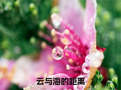 云与海的距离(裴从闻许欢颜)全文免费阅读无弹窗大结局_裴从闻许欢颜小说最新章节列表