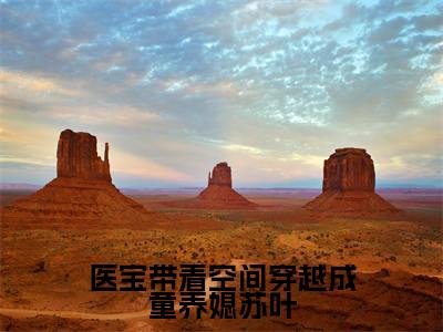 医宝带着空间穿越成童养媳苏叶(苏叶小说)全文免费阅读无弹窗大结局_苏叶小说免费阅读最新章节列表